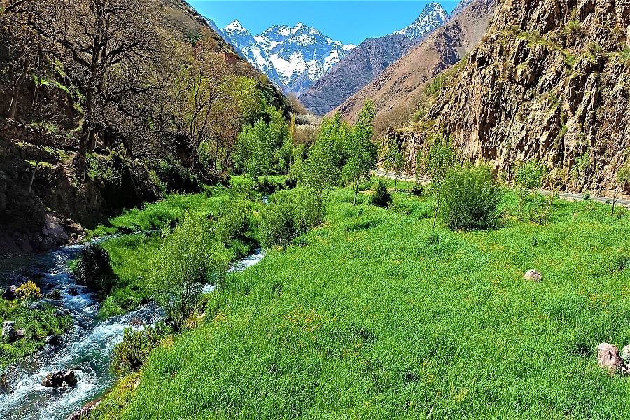 Los visitantes que eligen Marruecos como destino de sus vacaciones siempre vuelven con la sonrisa de los niños y de sus gentes grabada en la retina. Los amantes del Trekking no abandonan Marruecos sin antes dar un paseo por los zocos semanales. Visitar Marruecos sin disfrutar del relajante ambiente de un Hammen será una pena. Por ello, recomendamos a nuestros clientes, después de una semana de excursiones en las montañas, una cena única y un baño en el Hammen. Las playas de Marruecos son muchas, tanto en el sur como en el norte del país y suelen ser muy limpias sobre todo las que están fuera de las ciudades. Los deportes en Marruecos destinados a los turistas son en primer lugar, el trekking tanto en las montañas como en el desierto del Sahara; en segundo lugar, viene el mountain bike que va adquiriendo más popularidad entre los turistas; en tercer lugar las aventuras en 4x4 han llamado la atención notablemente a muchos visitantes; en cuarto lugar vienen los deportes de invierno a saber el esquí, el alpinismo... También se aprecia la cantidad de turistas que van a Marruecos para practicar el golf. En último lugar existen otros deportes como pesca, caza, submarinismo, paseos en quads, surf, globos y paracaidismo, etc. ASCENSION AL JBEL TOUBKAL EN 48 HORAS 1.- ITINERARIO DE LA RUTA Día 1: MARRAKECH – IMLIL (1740m) – AREMD (2050m) – SIDI CHAMHAROUCH (2310m) – REFUGIO NELTNER (3208m). A las 08:00 horas de la mañana, recogida en su hotel/riad de alojamiento de Marrakech por la mañana y traslado en vehículo hasta Imlil. Aquí, comienzan la ruta de trekking y también es el punto de encuentro con el personal de servicio que le acompañará durante toda la ruta (guía de montaña, mulas, muleros, cocinero). Imlil (1740m), es una famosa aldea bereber que marca la entrada al Parque Nacional del Toubkal y, por lo tanto, donde se inician la mayoría de las expediciones al Toubkal. Tomarán un té para disfrutar de un pequeño descanso y comenzarán la ruta a pie hacia el refugio Neltner (3208m). Pasarán por la aldea de Aremd (2050m) desde donde podrán disfrutar de una magnífica vista panorámica del Parque Nacional del Toubkal, el valle de Imlil y el Jbel Toukbal, con sus 4167m, considerado el pico más alto del Norte de Africa. Continuarán el ascenso pasando por el “marabout de Sidi Chamharouch” también llamado Sultán del Diablo (2310m.) continuando así hasta llegar al Refugio Neltner (3208m.) Almuerzo en el camino. Cena y alojamiento en el Refugio Neltner.  JORNADA DE 5 HORAS DE MARCHA Día 2: REFUGIO NELTNER (3208m) – CUMBRE TOUBKAL (4167m)– REFUGIO NELTNER (3208m) - VALLE AIT MIZAN – IMLIL (1740m) - MARRAKECH. Desayuno en el refugio y subida al pico del Toubkal (4167m) que es el más alto del norte de Africa. El camino de ascenso comienza con una pendiente de unos 200m., luego se suaviza, llegados a 3700m y hasta 3850m se vuelve a empinar, después nos encontraremos con una cresta y finalmente la arista que llega a la cumbre. Después de contemplar las maravillosas vistas bajamos hasta el refugio para almorzar y descenderemos hasta Imlil (1740m). Seguiremos el sendero principal del valle, pasando por el santuario “marabout de Sidi Chamharouch” también llamado Sultán del Diablo (2310m). En sus cercanías discurre el río Ait Mizane. (JORNADA DE 8 A 9 HORAS DE MARCHA). En Imlil, nuestro vehículo le llevará de vuelta a Marrakech donde llegará a partir de las 18:00 horas. Nuestro chófer le dejará en su hotel/riad de alojamiento en Marrakech.  FIN DE NUESTROS SERVICIOS